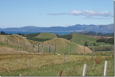 DSC06808